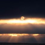 دانلود آهنگ تو که گفتی شکسته دل من