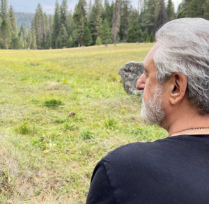 Vaghti Delgirio Tanha