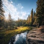 دانلود آهنگ دل شده یک کاسه خون به لبم داده جنون با صدای دختر