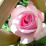 دانلود آهنگ اذان به زبان فارسی