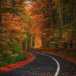 دانلود آهنگ تیکایا ویتسا