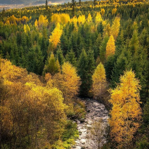 AZ Ta Sham Be Khane Nist