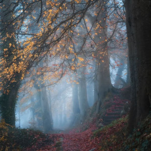 Do Se 2 3 Roz Ast Ke Boye Gol Nemiyaya