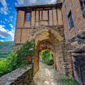 دانلود آهنگ دخترا گل بچینید بوی نکنید تمام اجراها 1 Dokhtara Go BEchinid