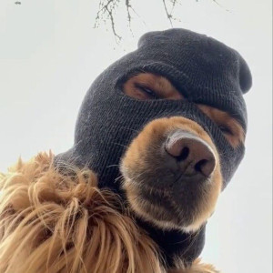 Kim bu acimasiz katiller