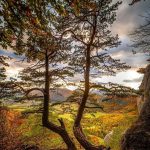 دانلود آهنگ طفلکی ریم پر دوده mp3 اصلی هوش مصنوعی