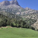 دانلود آهنگ جنگه جنگه ای خدا تیر و تفنگه ای خدا Mp3