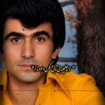 دانلود آهنگ چلچله بی تابی نکن دیوونه Mp3 اصلی
