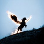 دانلود آهنگ دل ساحل نشینم شکار موج دریا شد + ورژن مصنوعی
