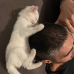 دانلود آهنگ حساب نمیشن تو لیگ من اینا Mp3