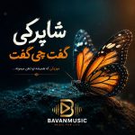 دانلود آهنگ شاپرکی گفت چی گفت Mp3 اصلی کامل